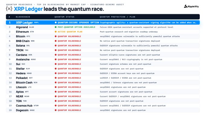 The image shows a "Top 20 Blockchains by Market Cap - Signature Scheme Audit" table from RippleX, ranking projects by quantum vulnerability, with XRP Ledger (XRPL) at #1 listed as "Quantum-Secure Upgrade Option" and Algorand (ALGO) at #2 as "Post-Quantum Option Available," while the remaining 18 blockchains—including Ethereum (ETH), Bitcoin (BTC), BNB Chain (BNB), Solana (SOL), TRON (TRX), Cardano (ADA), Avalanche (AVAX), and others—are flagged as "Quantum Vulnerable." The chart supports the post by visually demonstrating that XRP Ledger leads the quantum race as the only top blockchain with a clear path to cryptographic agility through upgradable, quantum-resistant signing algorithms.