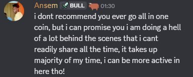 A user named Ansem with a bull emoji username shares a message in a Discord chat advising against going all-in on one coin while assuring the community that he spends most of his time working behind the scenes and can be more active in the chat than on X. The image supports the post's message by showing the developer's transparency and commitment to building the project, reinforcing the claim that "Dev is cooking behind the scenes."