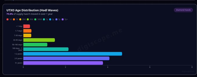 UTXO Age Distribution (Hodl Waves) bar chart showing 79.8% of supply hasn't moved in over 1 year, with the largest band representing 1-2 years.