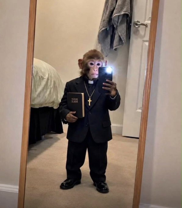 A monkey wearing a black priest outfit with a white collar, gold cross necklace, and holding a Holy Bible takes a mirror selfie with a phone.