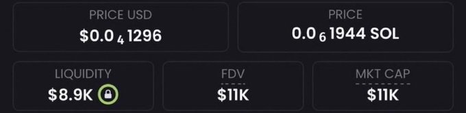 A dark-themed cryptocurrency dashboard showing PRICE USD of $0.041296, PRICE of 0.061944 SOL, LIQUIDITY of $8.9K (locked), FDV of $11K, and MKT CAP of $11K.