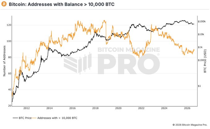 A Bitcoin Magazine Pro chart titled "Bitcoin: Addresses with Balance > 10,000 BTC" tracks the number of whale addresses (orange line) against BTC price in USD (black line) from 2011 to 2026, showing the count rising from around 20 to peak levels near 125 in 2018 before fluctuating, currently at approximately 90 addresses—matching the post's mention of a 6-month high. The price line (right axis, $1–$100k scale) shows BTC climbing from under $1 to roughly $100k+, with the whale address count and price loosely correlating over the years.