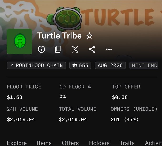 The image shows a NFT collection page for "Turtle Tribe ☆" on Robinhood Chain, with a floor price of $1.53, 24H volume of $2,619.94, and 261 unique owners (47%). The "Dev Rugged" caption relates to the image by highlighting warning signs of a potential rug pull, given the low top offer ($0.58), equal 24H and total volume figures, and the low mint end date of August 2026 suggesting potential abandonment by developers.