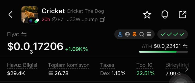 A screenshot of a crypto token tracker for "Cricket" (ticker address ending in pump) showing a price of $0.017206 with a +1.09K% gain, $29.4K pool, and 22.51% top 10 holder concentration, which the poster uses to argue the token has strong fundamentals and owner support to reach the millions like $Jimothy.