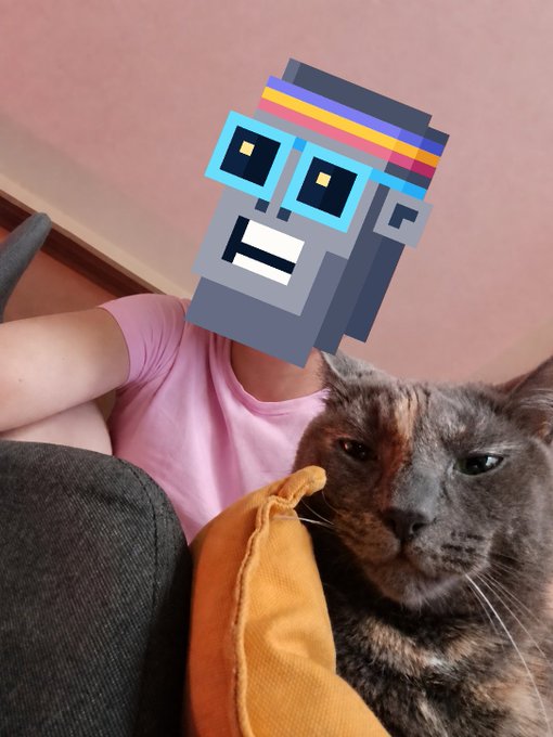 A person taking a selfie with their cat, where the person's face is obscured by a pixel art/voxel-style gray character wearing colorful headwear.