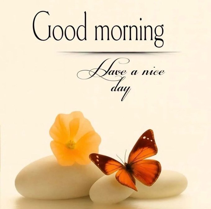 A warm greeting card with elegant text reading "Good morning, Have a nice day" above a decorative arrangement of smooth stones, an orange flower, and a butterfly.