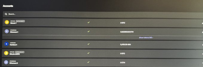 A screenshot of a computer monitor displaying several columns with names of cryptocurrency accounts along with their balances, including Etherium, Bitcoin Cash, Ripple, Dogecoin, and Litecoin. The screenshot also shows an attempt by cyber criminals to steal these cryptocurrency account balances, as they left over $18k worth of Etherium, $12k of Bitcoin Cash, and $800 of Cardano.