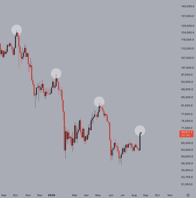 A candlestick chart of Bitcoin ($BTC) showing a strong downtrend from ~$129,500 in late 2025 to ~$69,600 in August 2026, with four white circles highlighting notable short-term relief rallies that were followed by further declines, suggesting each bounce may follow the same pattern of "lower highs" typical of bear markets.
