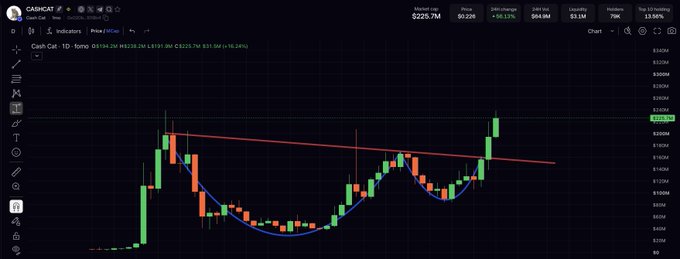A TradingView chart of "Cash Cat" ($CASHCAT) showing a textbook cup-and-handle pattern breakout, with the price breaking above a descending trendline resistance at $0.2258 (+16.24%), visually mapping the meme coin's staged gains—17x from initial buy, 5x from the cup bottom re-entry, and 2x+ from the handle accumulation phase.