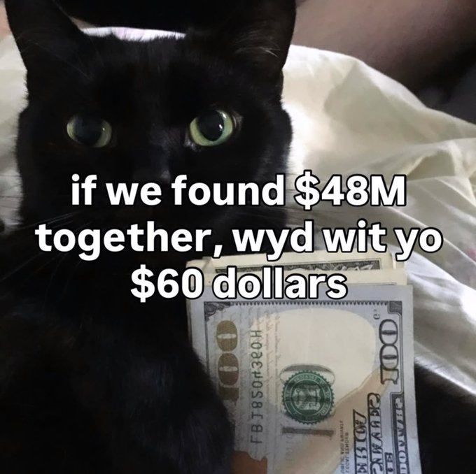 A black cat with wide green eyes is shown next to a $100 bill, with overlaid text reading "if we found $48M together, wyd wit yo $60 dollars" — humorously suggesting the cat (representing the poster) would still expect to split the money even if the actual "found" amount is a tiny $60 tip.