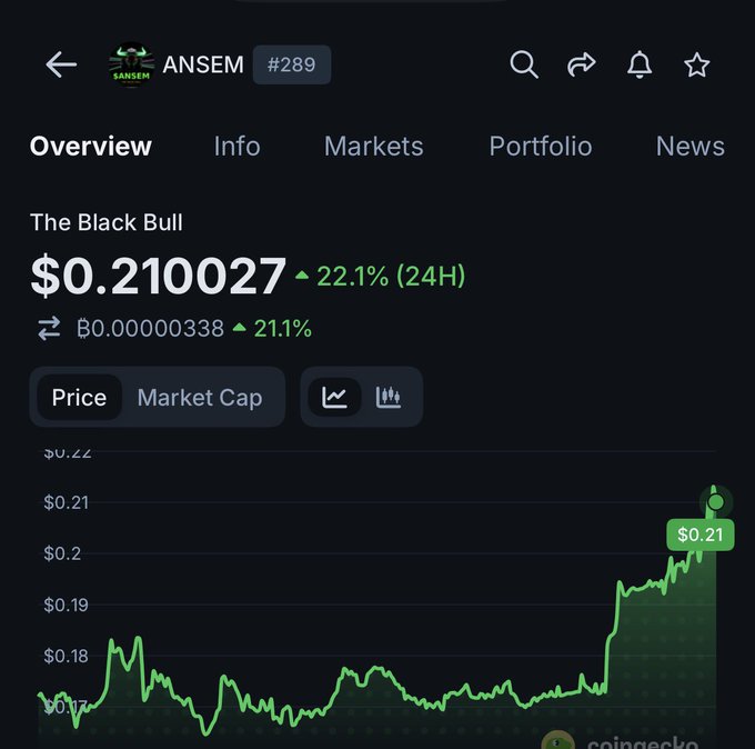 Cryptocurrency price tracking screen for ANSEM token (#289) showing 'The Black Bull' at $0.210027 with a 22.1% (24H) increase on CoinGecko.