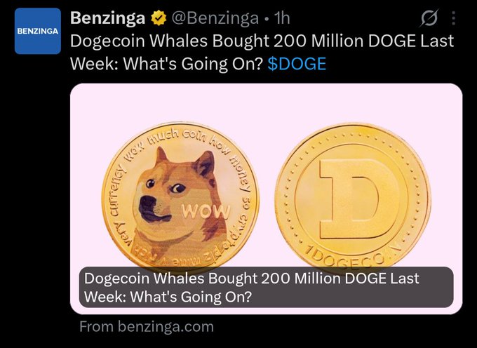 The image shows two gold coins with a cartoon doge face on them. The text above the coins reads "DOGE coin whales bought 200 million DOGE last week: What's going on?" which seems to be a question about the value of these coins.
