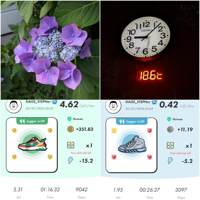 A collage showing a purple hydrangea flower, a Seiko clock reading 18.6°C, and two STEPN jogging stats screenshots from user HAGE_STEPN dated 30/07/2026—one displaying 4.62 GMT/Min with +351.83 earnings and another showing 0.42 GST/Min with +11.19 earnings. The images visually document the user's STEPN run earnings (351.83 GST and 11.19 GMT) referenced in the post, alongside the activation code "97291251."