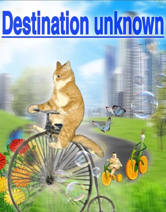A whimsical digital illustration titled 'Destination unknown' showing an orange cat riding a penny-farthing bicycle, accompanied by a small figure on an orange tricycle, butterflies, and soap bubbles.