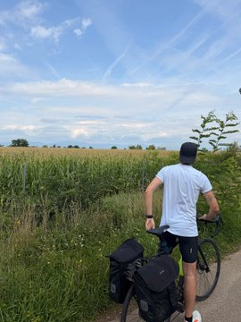 A cyclist in a white shirt and helmet pauses on a country road, looking out over golden cornfields under a bright summer sky. The peaceful rural scene contrasts with the post's sarcastic tone about crypto traders awaiting a back-to-school rally.