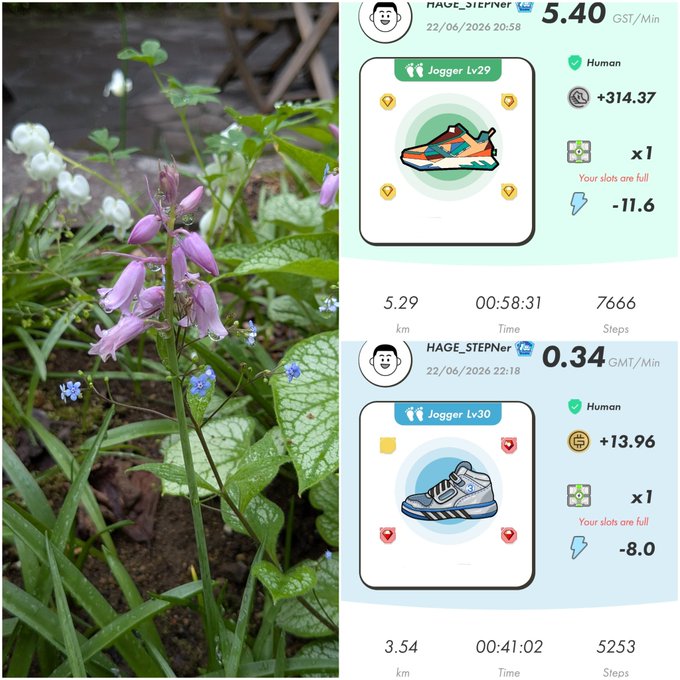 ids of two images, one with a flower and another with a jogging app.