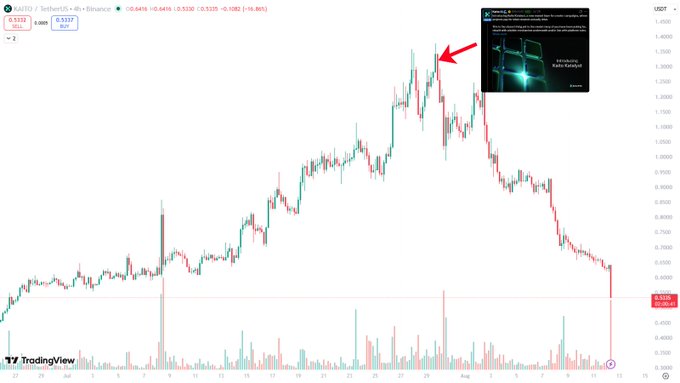 The image shows a TradingView chart of $KAITO/USDT on Binance, where the price surged to a peak around $1.40 (marked by a red arrow and an Elon Musk tweet overlay) before crashing back down to $0.5317—a textbook pump-and-dump pattern with an 80% drawdown.