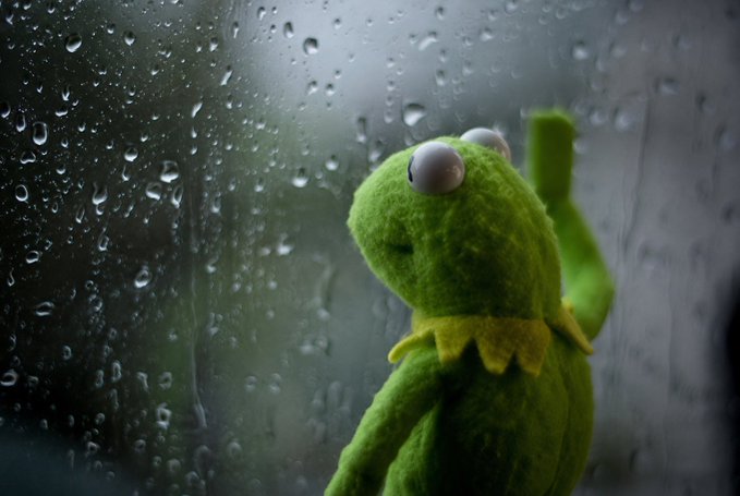 Kermit the Frog stares wistfully through a rain-streaked window, his reflection-less gaze capturing the melancholy of a rainy day that mirrors the financial storm outside.
