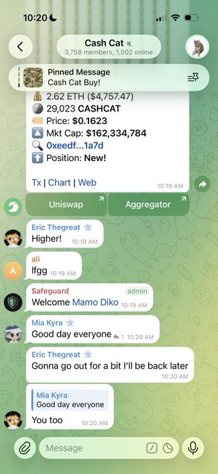 A Telegram group chat for 'Cash Cat' shows a pinned message with crypto details including '2.62 ETH ($4,757.47)', '29,023 CASHCAT', and various members chatting.
