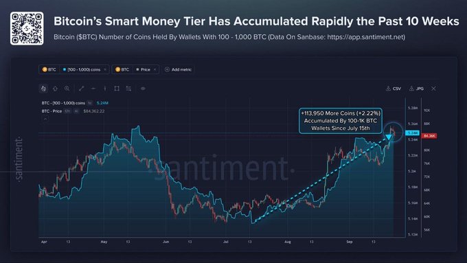 A Santiment chart titled 'Bitcoin's Smart Money Tier Has Accumulated Rapidly the Past 10 Weeks,' showing the number of BTC coins held by wallets with 100-1,000 BTC, highlighting a +2.22% (+13,950) increase accumulated over 10 weeks.