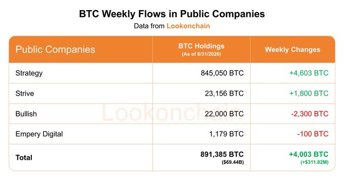 A data table titled 'BTC Weekly Flows in Public Companies' from Lookonchain showing holdings as of 8/31/2026: Strategy (845,050 BTC, +4,603), Strive (23,156 BTC, +1,800), Bullish (22,000 BTC, -2,300), Empery Digital (1,179 BTC, -100), totaling 891,385 BTC ($69.44B) with +4,003 BTC ($311.82M) weekly change.