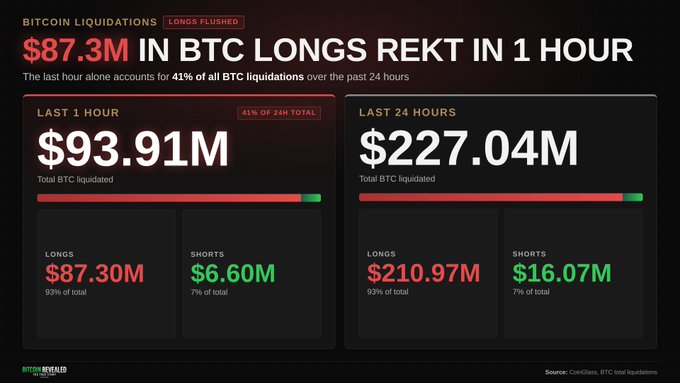 A financial dashboard displaying Bitcoin liquidation data, showing '$87.3M in BTC LONGS REKT IN 1 HOUR' with total liquidations of $93.91M in the last hour and $227.04M in the last 24 hours, sourced from 'Bitcoin Liquidations' and CoinGlass.