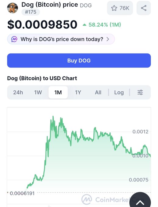 A screenshot of a CoinMarketCap price chart for Dog (Bitcoin) showing a current price of $0.0009850, down 58.24% over the 1M period, with a 'Buy DOG' button visible.
