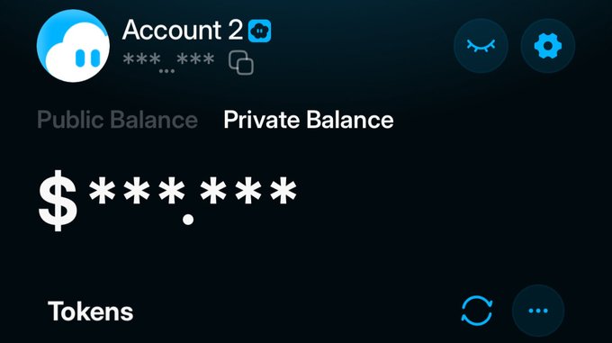 ?"Account 2" appears next to "Public Balance", and "Private Balance" at the bottom of the screen. There's also a phone number displayed below, and it seems like an important topic regarding privacy or perhaps something related to a private account on the internet.