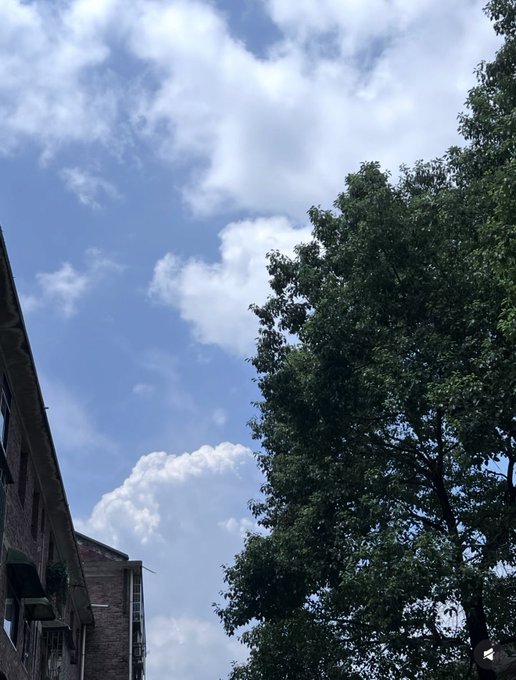 A bright sky filled with scattered clouds stretches above a brick building and a lush green tree, with a street lamp visible on the right. The expansive sky mirrors the post's message of shared struggle, suggesting that even when individual battles feel isolating, we all exist under the same vast, uncertain sky—where some rise and some struggle, but every effort matters.