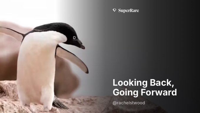 A slide from SuperRare NFT platform titled "Looking Back, Going Forward" by @rachelstwood, featuring a close-up photo of a penguin chick.