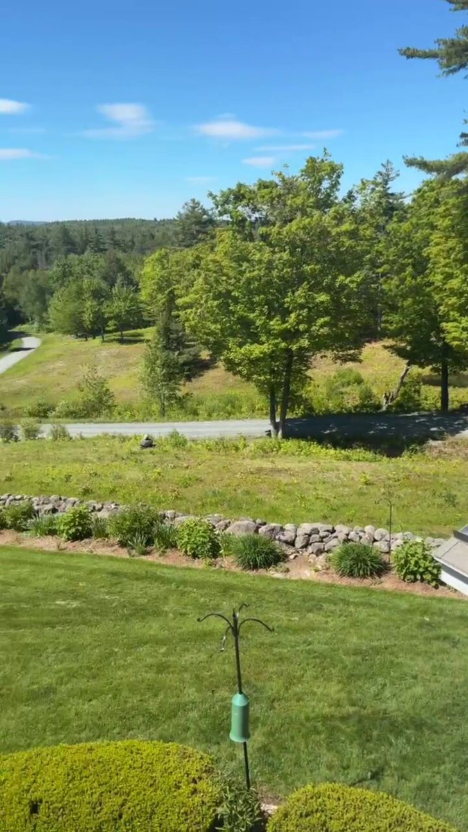 The image shows a beautiful view of a lush green lawn, trees, and a road with a person walking down the street. The photo appears to be taken from inside someone's home or office window, as indicated by the caption "@rootedge @base coin". The focus on this particular scene is on the outdoor setting, capturing the essence of nature and the surrounding environment.