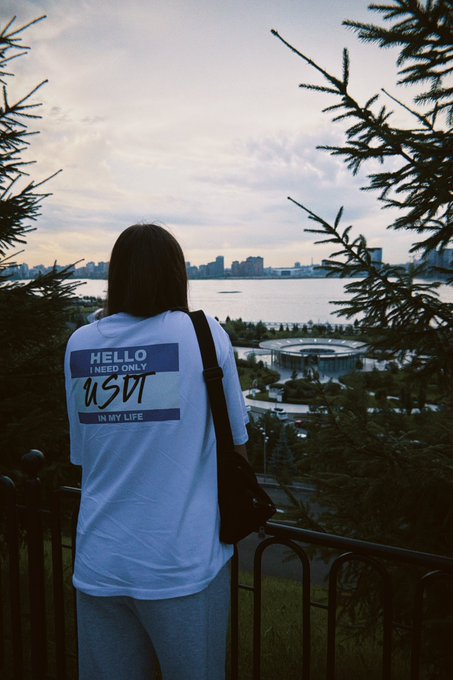 A person wearing a white t-shirt reading 'HELLO I NEED ONLY USA IN MY LIFE' overlooks a city and waterfront from a scenic viewpoint framed by tree branches.