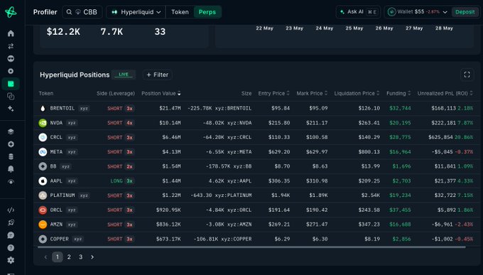 The image presents a view of a stock trading dashboard, showing various positions and numbers across different cryptocurrencies displayed within the screen. The main focus appears to be on the $625K shorting circle, which highlights an upward trend in a cryptocurrency named HyperliquidX. Apart from the HyperliquidX stock, there are other positions like Brent Oil, NVDA, CRCL, and others. Some of these positions have been successfully executed with gains or losses recorded. The overall impression is that the trader has profited from their investments in various cryptocurrencies such as Bitcoin, Hyper LiquidX, and possibly other coins.