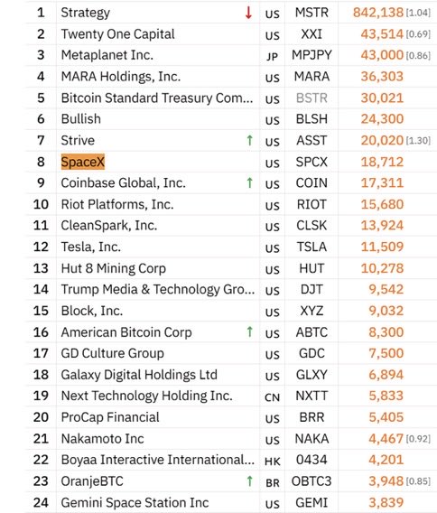 A stock ranking list showing companies like Strategy (MSTR), Twenty One Capital (XXI), Metaplanet Inc. (MPJPY), MARA Holdings, Inc. (MARA), Bitcoin Standard Treasury (BSTR), Bullish (BLSH), Strive (ASST), SpaceX (SPCX), and Coinbase (COIN) with their respective values, with SpaceX highlighted.