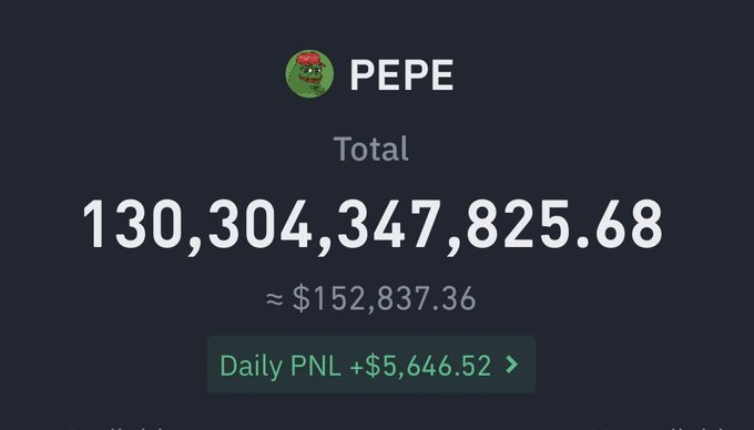 A digital dashboard shows a PEPE cryptocurrency holding with a total of 130,304,347,825.68 tokens, approximately equal to $152,837.36, and a daily profit and loss (PNL) of +$5,646.52.