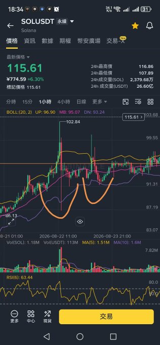 A Binance mobile app showing the SOL/USDT (Solana) trading pair at $115.61 (+6.30%) with a 1-day candlestick chart featuring Bollinger Bands and an RSI indicator.