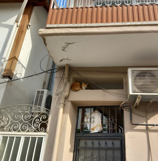 An orange and white cat rests on a ledge above a door of a worn building with air conditioning units, pipes, and barred windows.