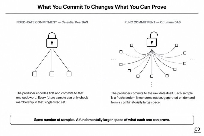 A diagram comparing 'FIXED-RATE COMMITMENT — Celestia, PeerDAS' with 'RLNC COMMITMENT — Optimum DAS' under the heading 'What You Commit To Changes What You Can Prove,' noting both use the same number of samples but offer a fundamentally larger proof space.