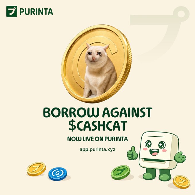 Promotional graphic for Purinta featuring a cat inside a gold coin with the text "BORROW AGAINST $CASHCAT - NOW LIVE ON PURINTA" alongside the app URL "app.purinta.xyz," announcing the new borrowing feature for $CASHCAT holders. The celebratory mascot and scattered coins reinforce the post's message about $CASHCAT reaching a new all-time high and growing community support on the platform.
