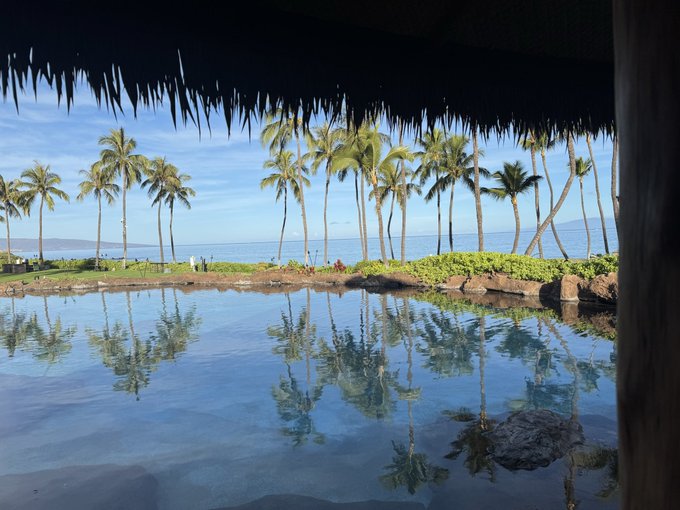 A tropical scene viewed from beneath a thatched roof, looking out over a calm reflecting pool lined with palm trees, with the ocean and a clear blue sky in the background.
