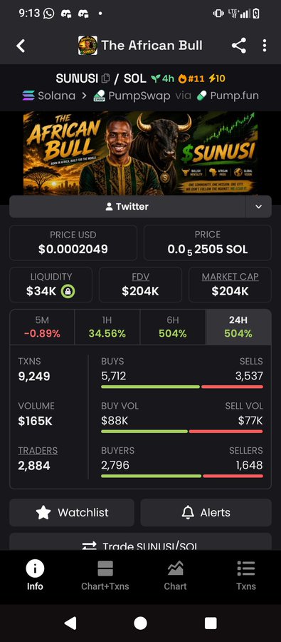 A cryptocurrency tracking app screenshot showing 'The African Bull' token (SUNUSI/SOL) on Solana via PumpSwap/Pump.fun with a price of $0.0002049 (0.002505 SOL), $34K liquidity, $204K FDV/Market Cap, and 504% gains across 6H and 24H periods.