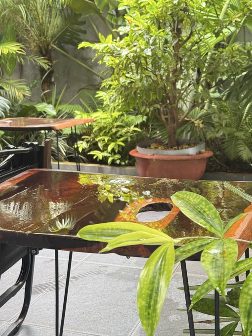 An outdoor garden patio scene featuring a glossy dark table reflecting the surrounding greenery, with potted plants and lush tropical foliage in the background.