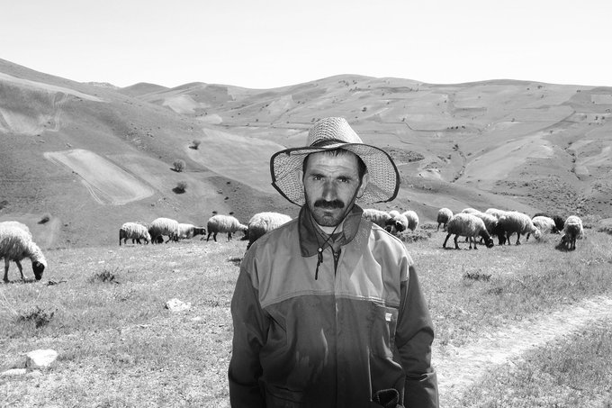 A black and white photograph shows a man with a mustache wearing a wide-brimmed straw hat and a jacket, standing in a hilly landscape with a flock of sheep grazing behind him.