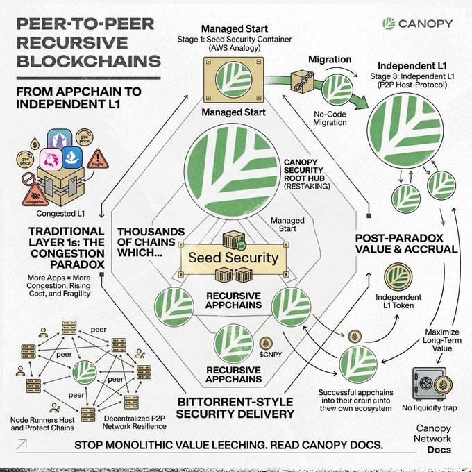 An infographic titled "PEER-TO-PEER RECURSIVE BLOCKCHAINS: FROM APPCHAIN TO INDEPENDENT L1" from Canopy, detailing concepts like the Congestion Paradox, Canopy Security Root Hub, Bittorrent-Style Security Delivery, and the $CNPY token, with the tagline "STOP MONOLITHIC VALUE LEECHING. READ CANOPY DOCS."