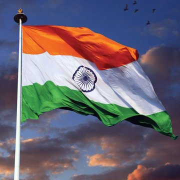 The Indian national flag (saffron, white, and green with the Ashoka Chakra) waving on a flagpole against a cloudy sky with birds flying in the background.