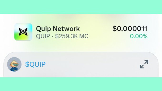 A cryptocurrency listing for Quip Network (QUIP) showing a price of $0.0000011 with a market cap of $259.3K and 0.00% change, alongside a $QUIP token card featuring a cartoon bear mascot.