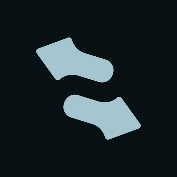 A minimalist logo design featuring a stylized light blue and gray 'S' or hourglass shape on a dark gray background.