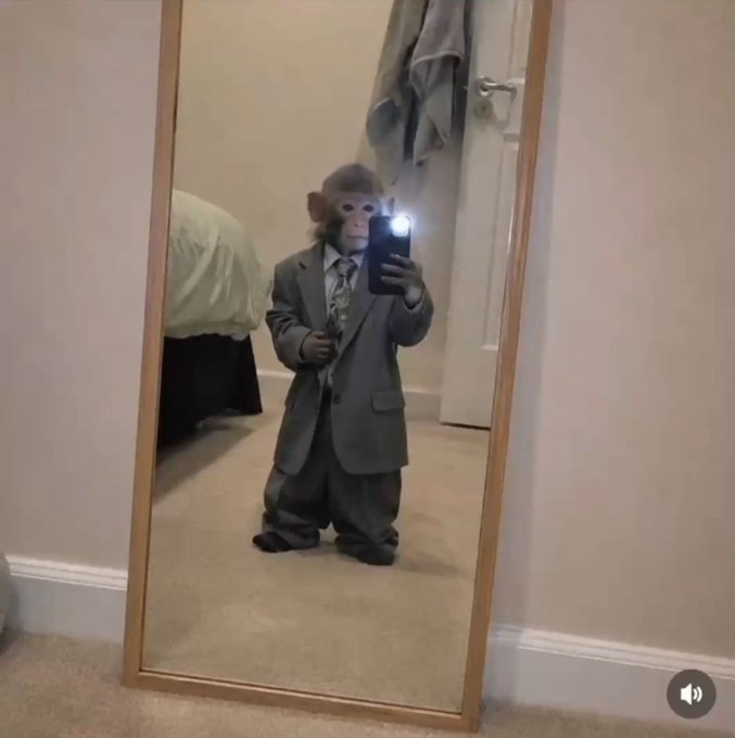A monkey wearing an oversized grey suit takes a mirror selfie with a phone in a bedroom.