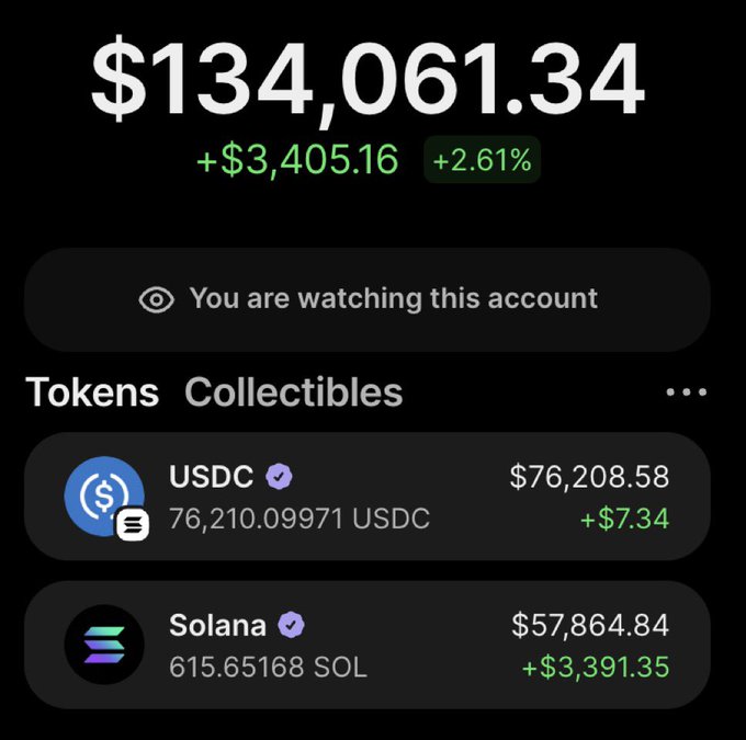 A cryptocurrency portfolio screenshot showing a balance of '$134,061.34' with a gain of '+$3,405.16 +2.61%', holding USDC ($76,208.58) and Solana ($57,864.84).