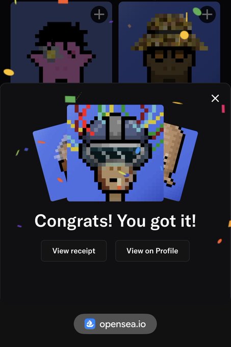 An OpenSea NFT minting success screen showing 'Congrats! You got it!' with a pixel art character NFT featuring sunglasses, confetti animation, and options to 'View receipt' or 'View on Profile'.